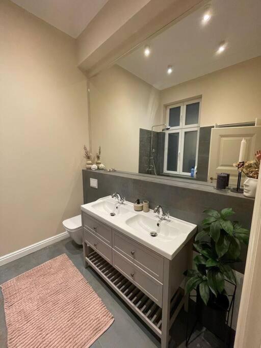 Lucrib Apartment Клуж-Напока Екстериор снимка